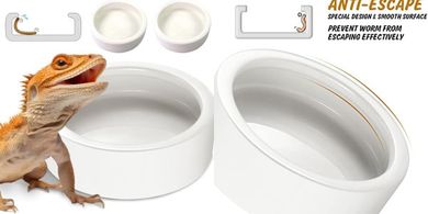 Ceramic Reptile & Insect Feeder Bowls (2-Pack)
