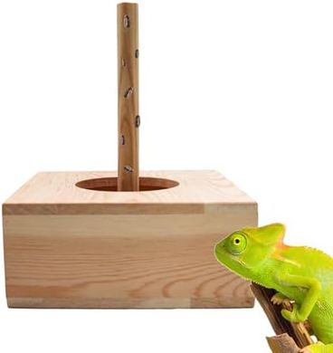 Wooden Reptile Feeder with Insect Climbing Column
