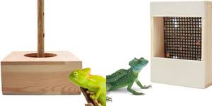 5 Best Wooden Reptile Bowls for Your Scaly Friend