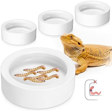 Ceramic Reptile Feeding Bowls with Anti-Escape Design for Lizards & Bearded Dragons
