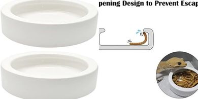 Ceramic Reptile Feeding Bowls (2-pack, anti-escape)
