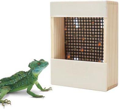 Reptile & Amphibian Feeder Station (Wall-Mountable, Wooden Options)
