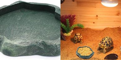 Reptile Feeding Dish: Shallow Bowl for Lizards, Geckos & Bearded Dragons
