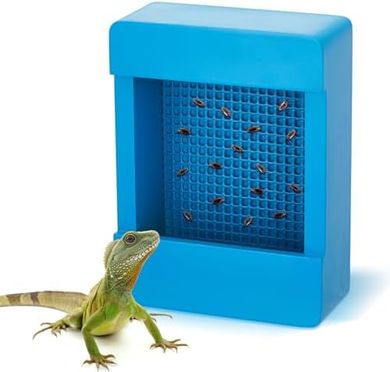 Wooden Bearded Dragon & Reptile Feeder with Grid Plate (Blue)
