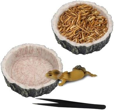 Wooden Reptile Feeding Dish with Tweezers
