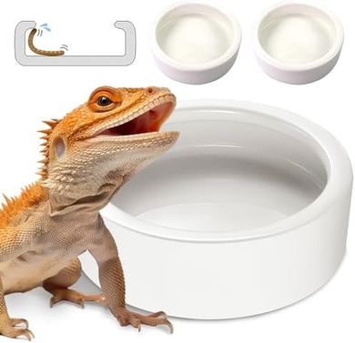 Ceramic Reptile & Insect Feeder Bowls (2-pack)
