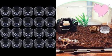 Small Reptile Feeding Bowls (20-pack, 1.43" Dia.)
