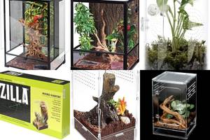 5 Amazing Terrariums for Your Arboreal Reptile