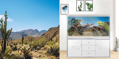 Retro Desert Oasis Reptile Terrarium Background (36x18") with Tape
