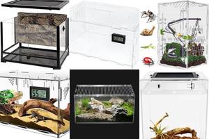 5 Best Ventilated Reptile Terrariums