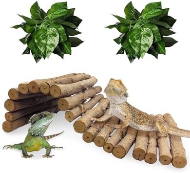 Hamiledyi Wooden Reptile Bridge & Hideout (11.8" x 6.7")