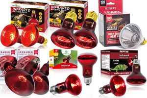 Infrared reptile heat lamps