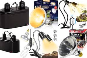 Best 5 Heat Lamps with UVB Lighting for Reptiles