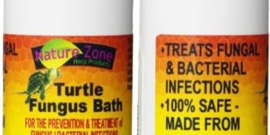 Turtle Fungus Bath Treatment (2 oz)
