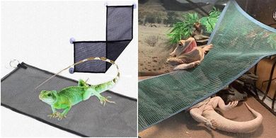 Bearded Dragon Hammock: Breathable Mesh Lounger with Ladder (Black)
