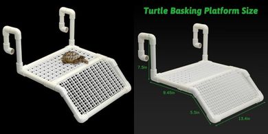 Turtle Basking Platform & Ramp: Floating Dock for Reptiles & Amphibians
