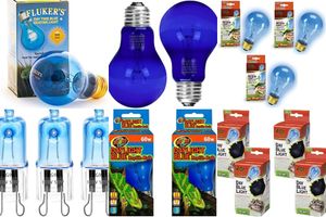 Blue light heat lamps