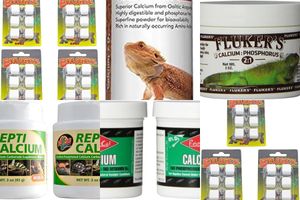 Calcium supplements for reptiles