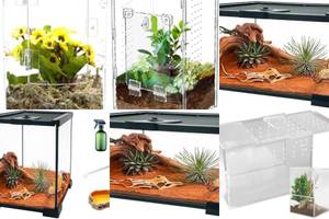 5 Amazing Reptile Terrariums with Magnetic Doors