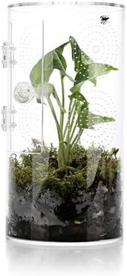 Micro Habitat Terrarium: Spider & Reptile Enclosure (11.5"x6"x6")
