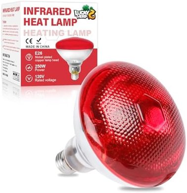 Infrared Chicken Heat Lamp (250W, Red Bulb)