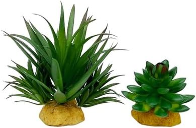 Reptile Terrarium Plants: Succulents & Desert Decor (2-Pack)
