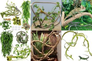 Vine reptile climbing branches