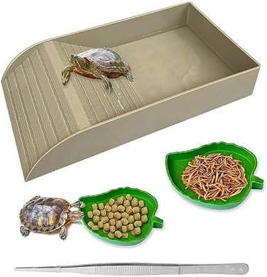 NGORAY Tortoise Feeding Station with Ramp & Basking Platform