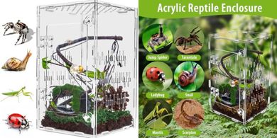 Large Acrylic Enclosure for Reptiles & Insects
