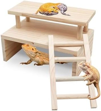 Double-Layer Reptile Hide with Ladder & Decor
