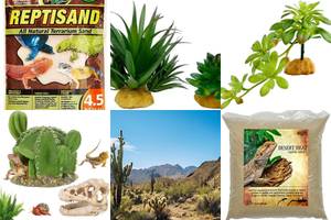 Best Desert Reptile Terrariums: Top 5 Picks