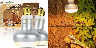 REPTI ZOO 100W Dual Heat Lamps: Basking & Brooding UVB/UVA