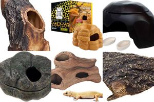 Ceramic reptile cave