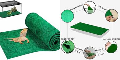 Green Reptile Carpet Terrarium Liner (47"x24") for Bearded Dragons, Snakes, Lizards
