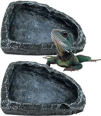 Reptile Feeding Dishes: 2 Bowls for Lizards, Frogs, & More
