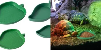Reptile & Turtle Feeding Bowls (4-Pack, Leaf & Mango Shapes)