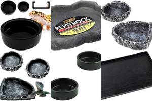 5 Must-Have Black Reptile Bowls