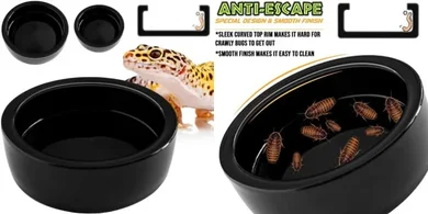 Ceramic Reptile Food & Water Dish (Medium, Black)