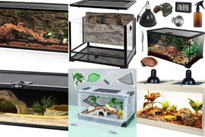 Reptile terrariums for snakes