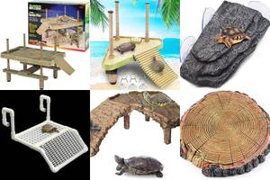 Top 5 Floating Reptile Basking Platforms