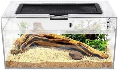 7x11.8x5.9" Reptile & Amphibian Terrarium/Cage for Lizards, Turtles, Spiders
