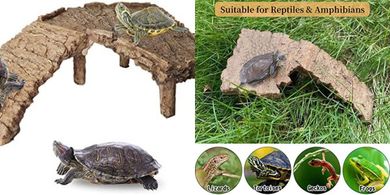 Turtle Basking Platform & Habitat Ramp for Reptiles & Amphibians
