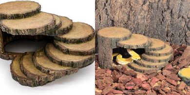 Reptile & Amphibian Hideouts: Caves, Stumps, & Habitat Decor
