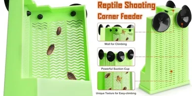 Green Glass Reptile Feeding Bowl (6.29", M) with Secure Suction Cup