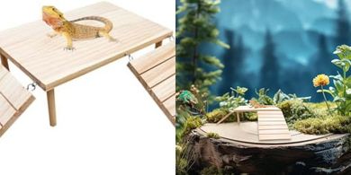 Wooden Reptile Cave & Basking Platform with Ramp
