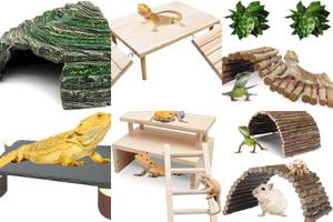 Top 5 Wooden Reptile Caves