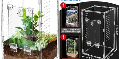 Large Acrylic Jumping Spider & Tarantula Terrarium Kit with Magnetic Door
