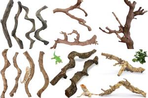 5 Amazing Wooden Climbing Branches for Your Reptile