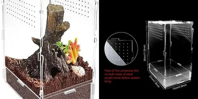 NANEEZOO Acrylic Reptile Terrarium: 8x6x12" Arboreal Habitat