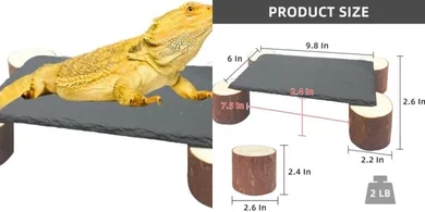 Reptile Basking Platform & Hideout Cave Decor